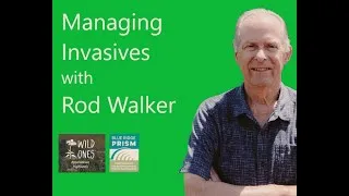 Thumbnail: Managing Invasives with Rod Walker