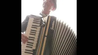 Thumbnail: Tree & Shelf Nunny - Rising Phoenix (ft. Kirsten Rosenberg) [Live]