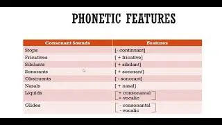 Thumbnail: Linguistics Course: Feature Specification Introduction | Phonetics Phonology Features 1/3