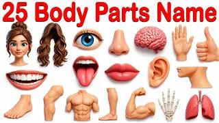 Thumbnail: 25 Body Parts Name English and Hindi | शरीर के अंग | Learn Body Parts for Kids | Body Parts Pictures