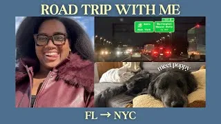 Thumbnail: meet our new roommate