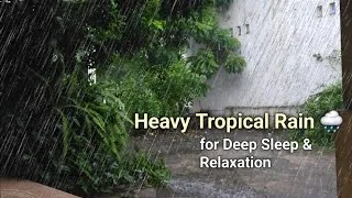 Thumbnail: Heavy Rain in a Tropical Garden | 30 Min Relaxing Rain Sounds for Deep Sleep & Stress Relief