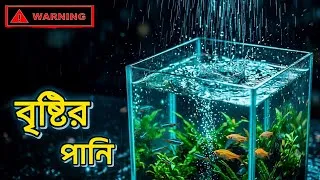 Thumbnail: একুরিয়ামে বৃষ্টির পানি ব্যবহারের নিয়ম | Rain Water for Aquarium – pH Guide 