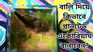 Thumbnail: Planted Aquarium Without Soil | Only Sand Setup!
