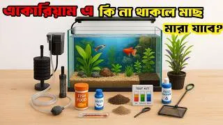 Thumbnail: Must Have Aquarium Items for Beginners | Simple Fish Tank Setup Guide