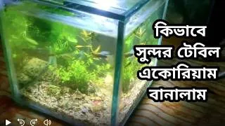 Thumbnail: How to Make a Simple Planted Aquarium at Home | Beginner Guide