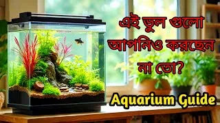 Thumbnail: Simple Ways to Keep Your Aquarium Clean and Your Fish Happy