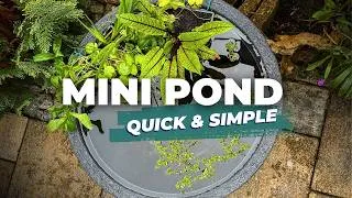 Thumbnail: I Built a Simple Mini Pond for My Garden 🌿 No Filter Setup
