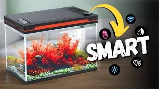 Thumbnail: I Tested Hygger Smart Aquarium This SURPRISED Me