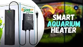 Thumbnail: Fully Automatic Hygger Black Hole Smart Aquarium Heater HGY0003 | Unboxing & Full Review