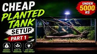 Thumbnail: Budget Planted Aquarium Setup Part 1 | Complete Beginner's Guide