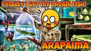 Thumbnail: My Dream Fish Is HERE! Baby Arapaima for My Aquarium