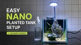 Thumbnail: Easy Nano Planted Tank Setup for Beginners