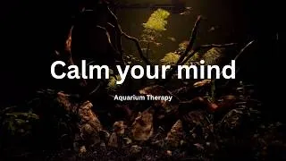 Thumbnail: Relaxing Aquarium for Stress Relief & Sleep