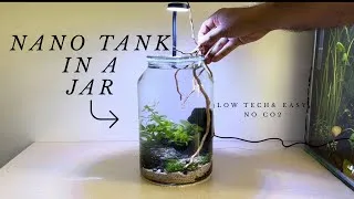 Thumbnail: How to build a nano aquarium in jar
