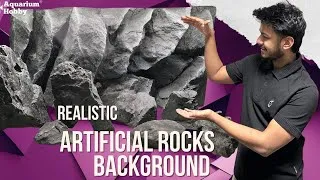 Thumbnail: 3D Background & Rock 