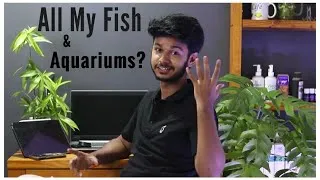 Thumbnail: Fish room Update / Behind the scene