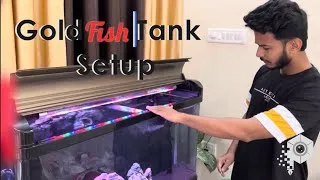 Thumbnail: Goldfish Tank setup