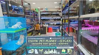 Thumbnail: Exotic Pet Planet - Lycan || New Aquarium shop visit #aquariumshopvisit #exoticpetplanet #aquarium