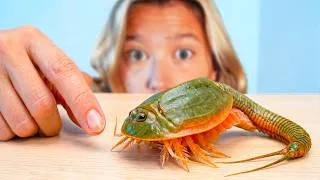 Thumbnail: I Hatched Pet Dinosaurs (300 Million Years Old)