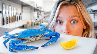 Thumbnail: I Turned a Restaurant Crab into a Pet...