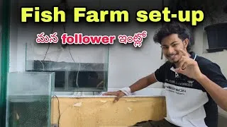 Thumbnail: Outdoor fridge box 🐠 Fish farm set-up 