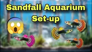 Thumbnail: Sandfall aquarium making 😱 తెలుగులో ఇదే మొదటి వీడియో 