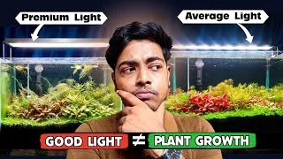 Thumbnail: Stop Blaming Your Light — You’re Using It Wrong  | EP - 1 | 