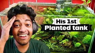 Thumbnail: 6 Real Planted Tanks Reviewed – What’s Wrong & How to Improve ?