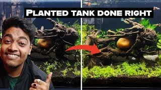 Thumbnail: Fixing Mistakes in My Subscriber's  Planted Tanks. ( Reaction video ) 