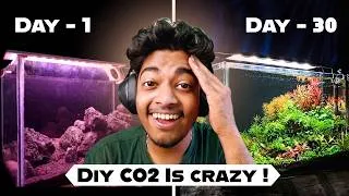 Thumbnail: How this tank turned into lush jungle in just 30 days