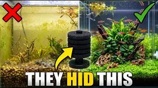 Thumbnail: 12 "Forbidden" Aquarium Hacks That Pet Stores Don't Want You to Know