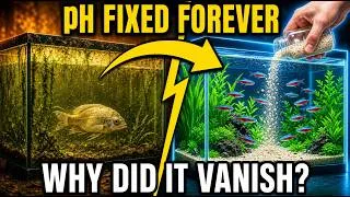 Thumbnail: This $3 Stone BALANCES Any Aquarium pH Forever — Why Pet Stores Made This Vanish in 1978
