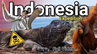 Thumbnail: Exploring INDONESIA for VENOMOUS and ENDANGERED Animals!