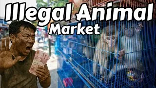 Thumbnail: Exploring Indonesia’s *ILLEGAL* Animal Market!