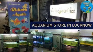 Thumbnail: Rishabh Aquatic | Aquarium Shop In Lucknow | Order Your Fishes & Plant From Aquarium Shop In Lucknow