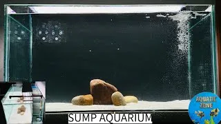 Thumbnail: How To Setup Goldfish Sump Aquarium | Aquarium With Internal Sump | Easy Sump Aquarium Tutorial