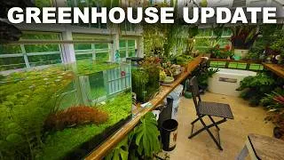 Thumbnail: I'm a little good at aquascaping now! (4k)