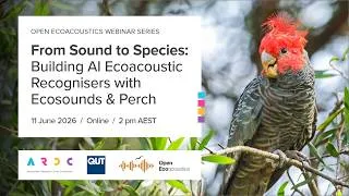 Thumbnail: When BirdNET Isn't Enough: Build Ecoacoustic Recognisers with Ecosounds and Perch
