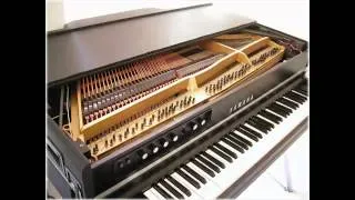 Thumbnail: Chopin nocturne - Op. 9 no. 2