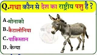 Thumbnail: ऐसा कौन-सा देश है जहाँ गधा राष्ट्रीय पशु है? 99% लोग गलत! 🤯 #gk #gkquiz #trending 