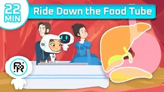 Thumbnail: Ride Down the Food Tube! The Human Digestive System | Argo's World | STEM for Kids