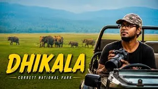 Thumbnail: Dhikala: India's Greatest Wildlife Experience
