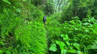 Thumbnail: Camping Inside India's Wildest National Park