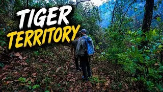 Thumbnail: On foot in tiger territory of Corbett's buffer zone