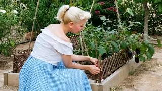 Thumbnail: I Gave My Garden a Budget Makeover