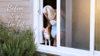 Thumbnail: 6AM Routine with 7 Cats in a Greek Cottage