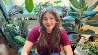 Thumbnail: just a girl taking care of her plants 🧚‍♀️