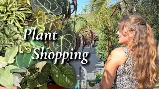 Thumbnail: Finding some BEAUTIFUL houseplants 🪴| San Diego Nursery Adventure + Haul ⭐