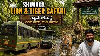 Thumbnail: Tyavarekoppa Lion & Tiger Safari Shimoga | Full Safari Vlog 🦁🐅